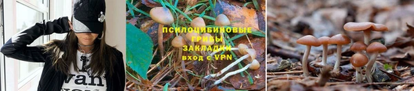 мдма Михайловка