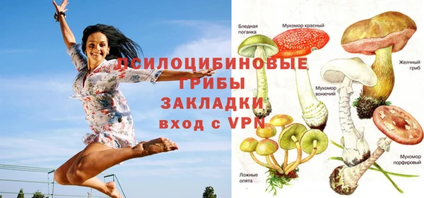 не бодяженный Надым