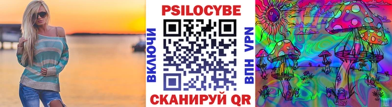 Псилоцибиновые грибы GOLDEN TEACHER Галич